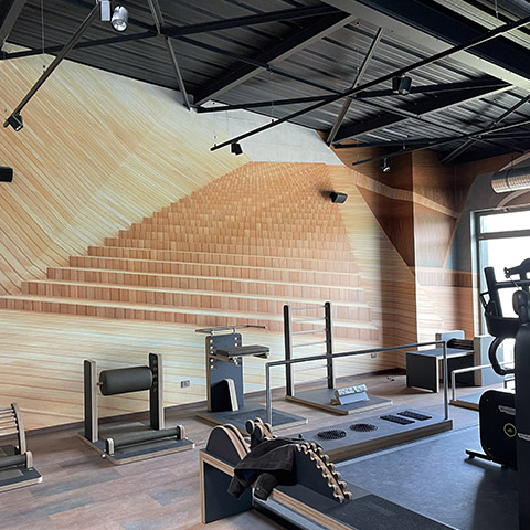 portfolio local_professionnel